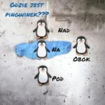 ZWIERZĘTA, KTÓRE LUBIĄ MRÓZ, ANTARKTYDA, GRENLANDIA, INUICI