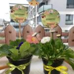 WIOSENNY OGRÓDEK + DEKORACJE