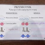 WKLEJKI CZĘŚCI MOWY