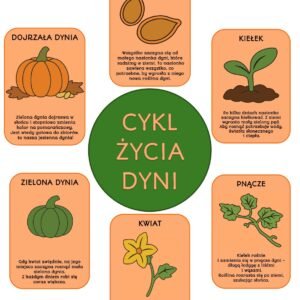 "CYKL ŻYCIA DYNI" KSIĄŻECZKA DO ZŁOŻENIA I PLANSZE A4